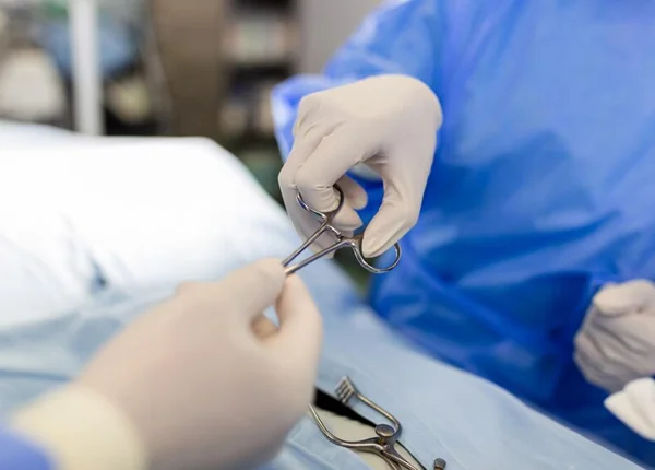Emergency Services